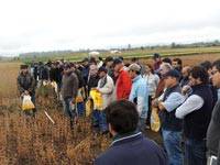 Revista PRODUCCION: Un encuentro a pura soja en Tucumán