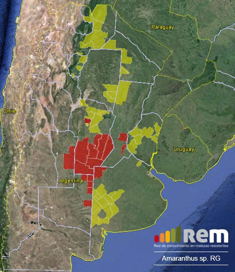 Revista PRODUCCION: El mapa de las malezas resistentes en Argentina