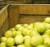 Revista PRODUCCION: Limones: La campaña citrícola avanza lentamente en Tucumán, buscando superar los desafíos que les plantean los altos costos y la incertidumbre comercial