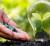Revista PRODUCCION: Perspectiva optimista de la demanda de fertilizantes luego de una leve caída en 2023 
