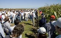 Revista PRODUCCION: Día de campo de soja, maíz, sorgo y poroto de la EEAOC
