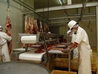 Revista PRODUCCION: El negocio de la carne tranqueras afuera