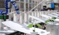 Revista PRODUCCION: Un robot ayuda a la soja contra la sequía