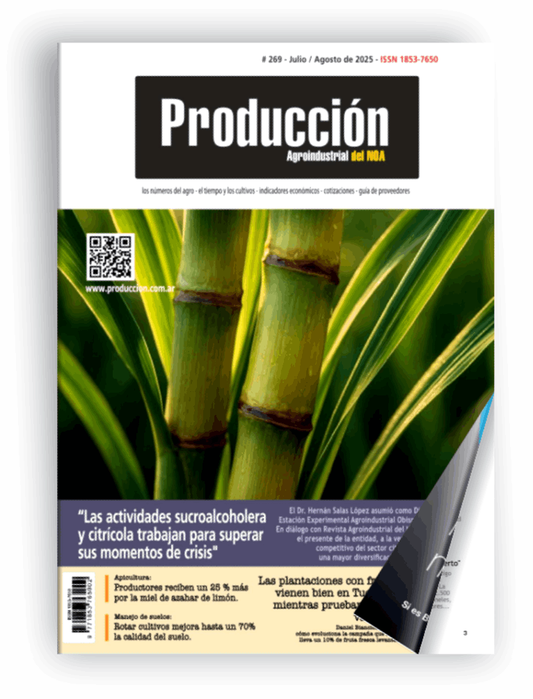 Click sobre la imagen para leer la revista