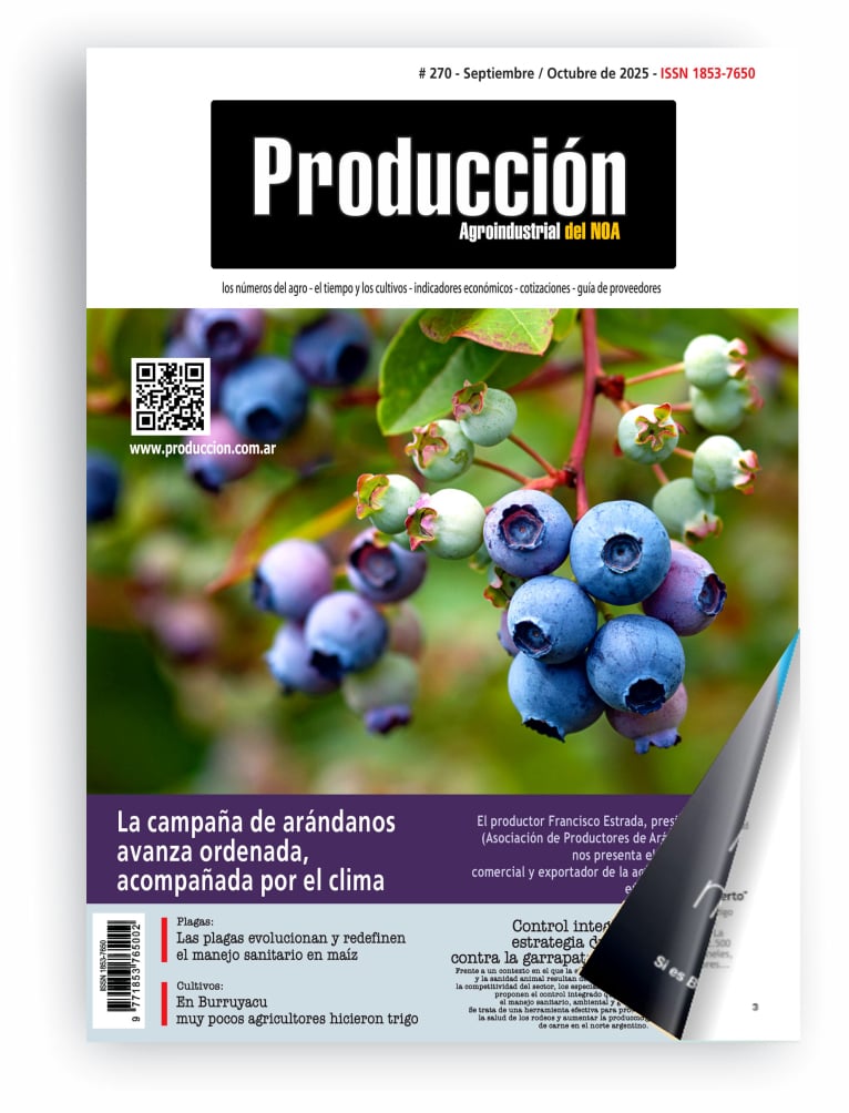 Click sobre la imagen para leer la revista