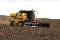 Revista PRODUCCION: Buenas perspectivas para la soja en el noa