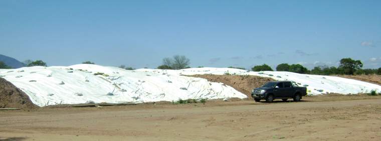 Revista PRODUCCION: Feed lot, nuevo producto: engorde de machos enteros j&oacute;venes