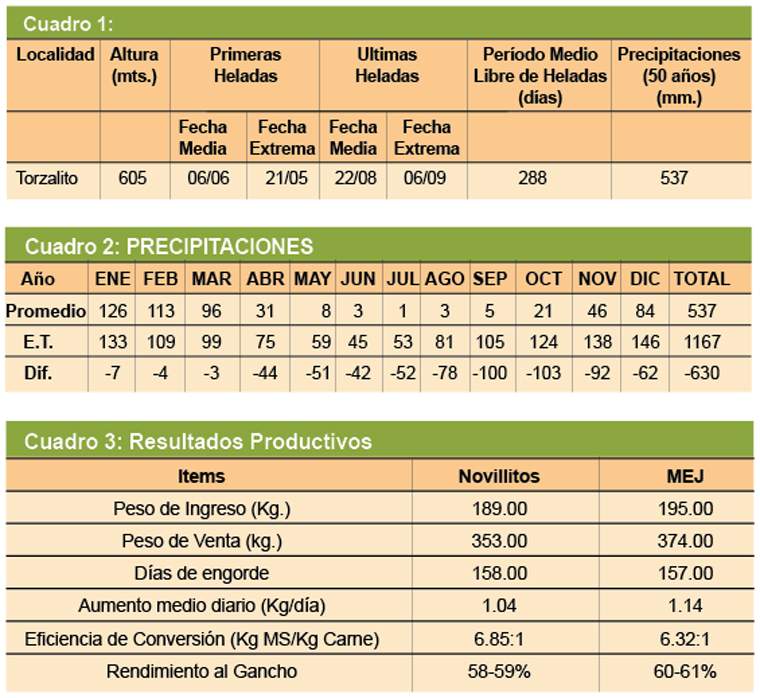 Revista PRODUCCION: Feed lot, nuevo producto: engorde de machos enteros j&oacute;venes