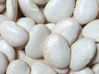 Revista PRODUCCION: Los porotos también deben almacenarse en silobolsas