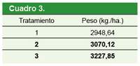 Revista PRODUCCION: Coadyuvante SpeedWet Siliconado NG