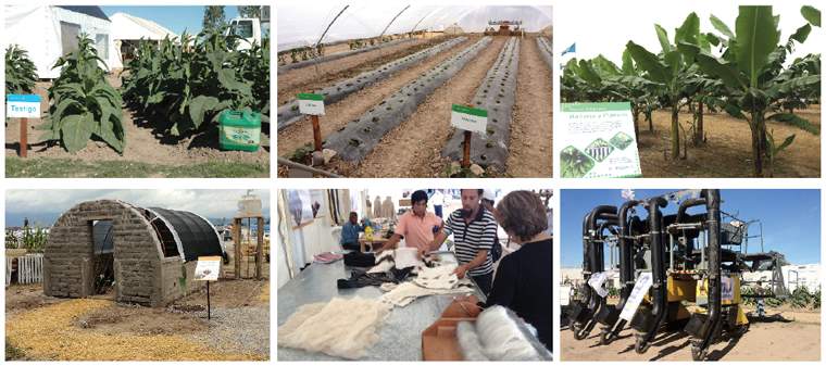 Revista PRODUCCION: INTA Expone Regi&oacute;n NOA