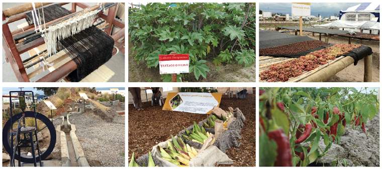 Revista PRODUCCION: INTA Expone Regi&oacute;n NOA