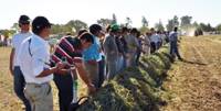 Revista PRODUCCION: Jornada Nacional de Forrajes Conservados y Curso de Conservación de Forrajes  