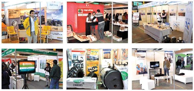Revista PRODUCCION: Expo Lules 2012