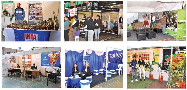Revista PRODUCCION: Expo Lules 2012