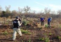 Revista PRODUCCION: Las consecuencias del desmonte