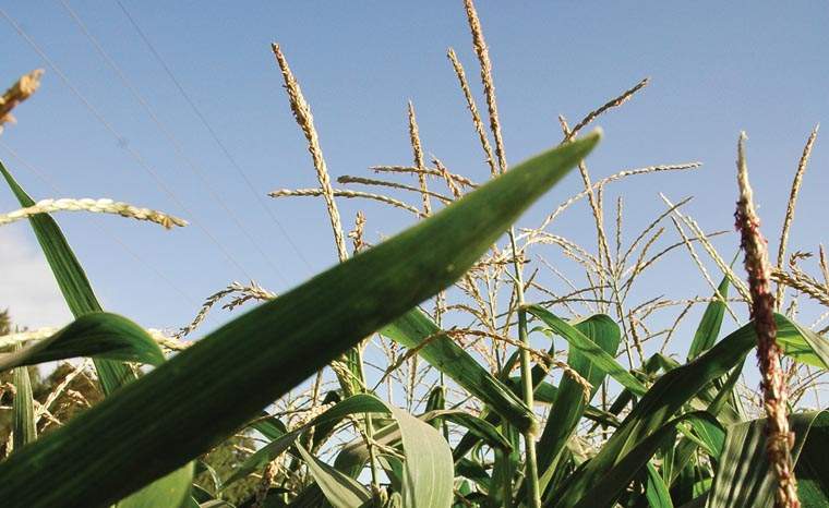 Revista PRODUCCION: 22º viaje de capacitación técnica a EEUU