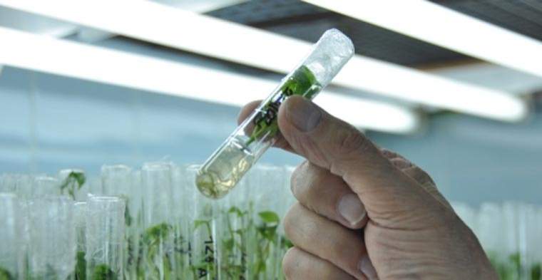 Revista PRODUCCION: Bancos de germoplasma