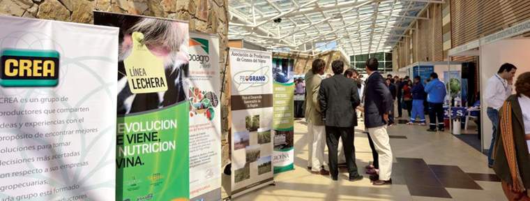 Revista PRODUCCION: IX Congreso Regional CREA-NOA