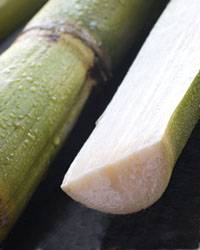 Revista PRODUCCION: Azúcar: tucumán podría cubrir solo el consumo del mercado interno en 2013