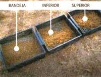 Revista PRODUCCION: Jornada de capacitación en conservación de forrajes 