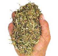 Revista PRODUCCION: Jornada de capacitación en conservación de forrajes 