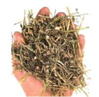 Revista PRODUCCION: Jornada de capacitación en conservación de forrajes 