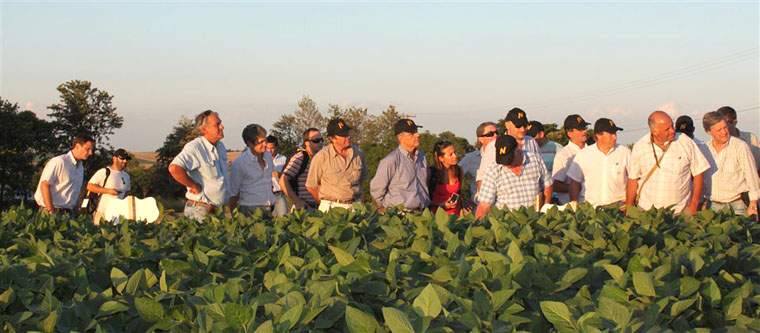 Revista PRODUCCION: Nuevas sojas Nidera: variedades Intacta RR2 Pro