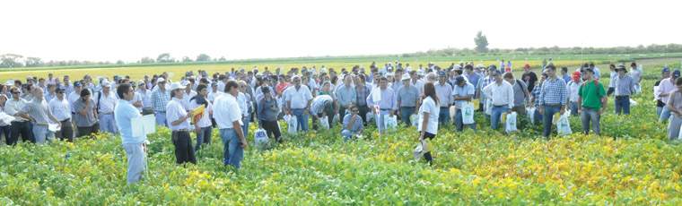 Revista PRODUCCION: D&iacute;a de campo