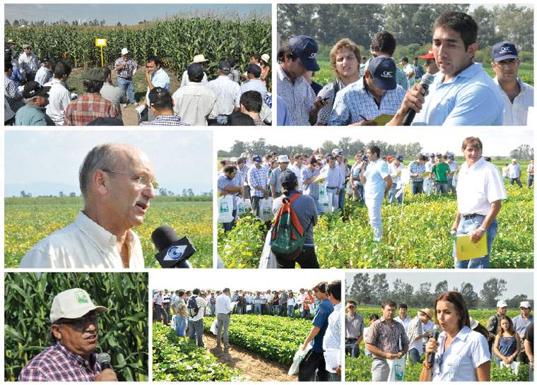 Revista PRODUCCION: D&iacute;a de campo