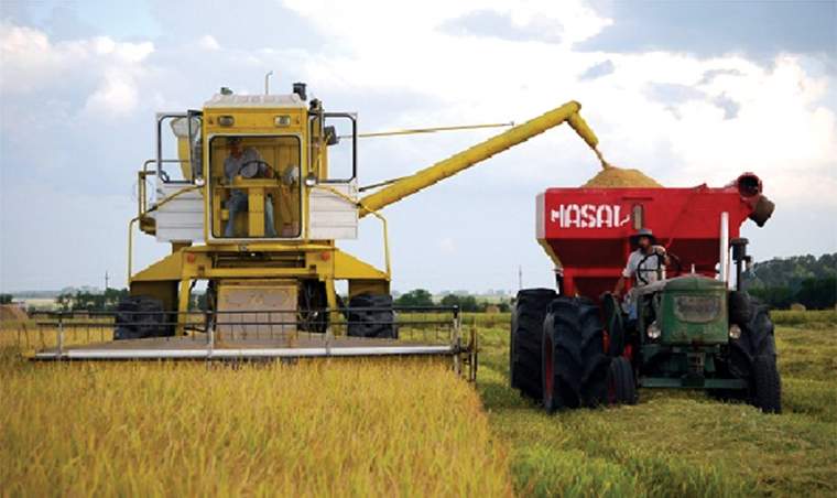 Revista PRODUCCION: Nuevo diseño que reduce la pérdida de granos durante la cosecha 