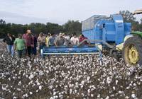 Revista PRODUCCION: Ya se vendieron trescientas Javiyú