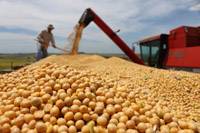 Revista PRODUCCION: Cosecha y poscosecha de granos