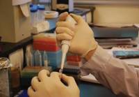 Revista PRODUCCION: Científicos argentinos fabrican un "lector" de ADN y proteínas