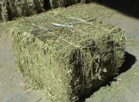 Revista PRODUCCION: Evoluci&oacute;n del mercado de tecnolog&iacute;as de henificaci&oacute;n en Argentina