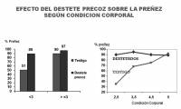 Revista PRODUCCION: Se vienen los servicios pero la vaca flaca no se pre&ntilde;a