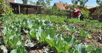Revista PRODUCCION: Apuesta al fortalecimiento de la agricultura y ganadería