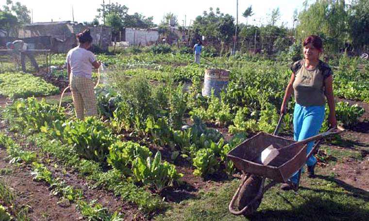 Revista PRODUCCION: Apuesta al fortalecimiento de la agricultura y ganadería