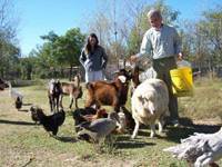 Revista PRODUCCION: Apuesta al fortalecimiento de la agricultura y ganadería