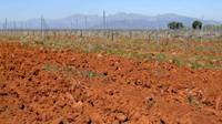 Revista PRODUCCION: El suelo es el silo del agua