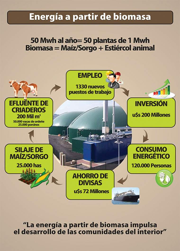 Revista PRODUCCION: Biomasa agropecuaria