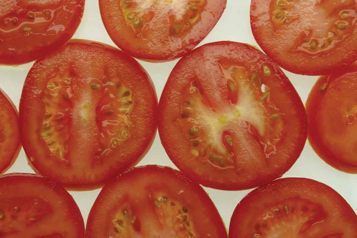 Revista PRODUCCION: Tomate: una alternativa rentable para las econom&iacute;as regionales