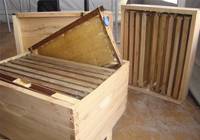 Revista PRODUCCION: Miel: etiquetas electr&oacute;nicas para garantizar su calidad