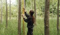 Revista PRODUCCION: Tecnología aplicada al manejo forestal sustentable