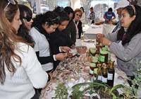 Revista PRODUCCION: Espacios de comercialización en franco crecimiento