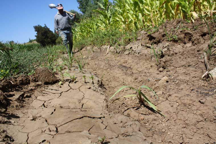 Revista PRODUCCION: El 75% del país es seco y genera la mitad de la producción agropecuaria