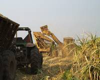 Revista PRODUCCION: Balance sobre el sistema de control de molienda de caña