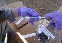 Revista PRODUCCION: Nanoveh&iacute;culo mejora la eficiencia de vacunas animales