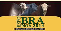 Revista PRODUCCION: ExpoBra 2014