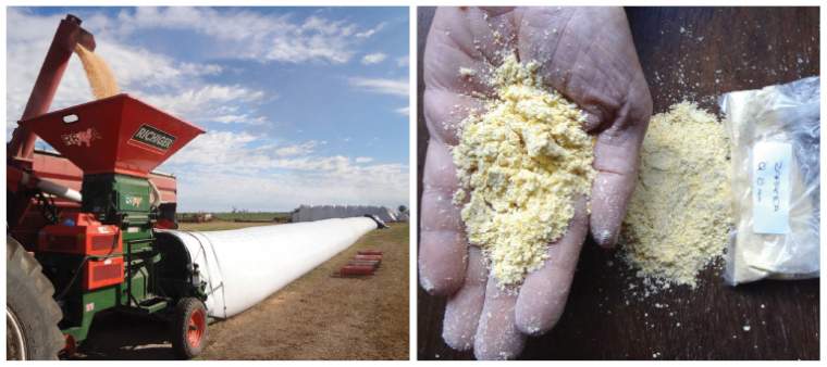 Revista PRODUCCION: Moledora embolsadora Richiger R6MF y R9MF